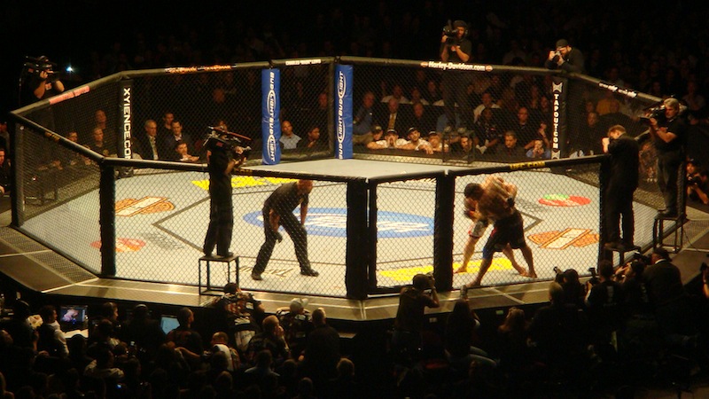 UFC fight